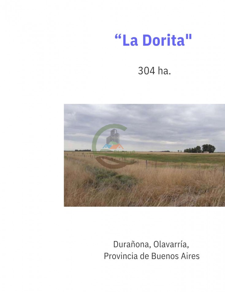 304 ha Mixtas - Olavarria 