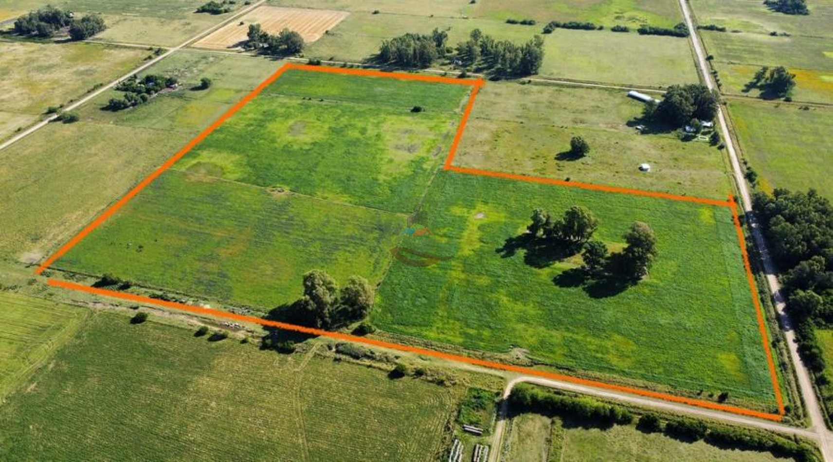 60 Ha Mixto - Las Flores
