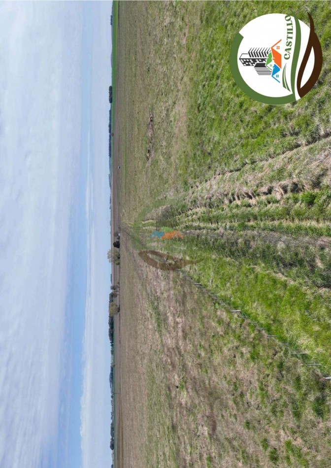 204 ha mixtas - olavarria