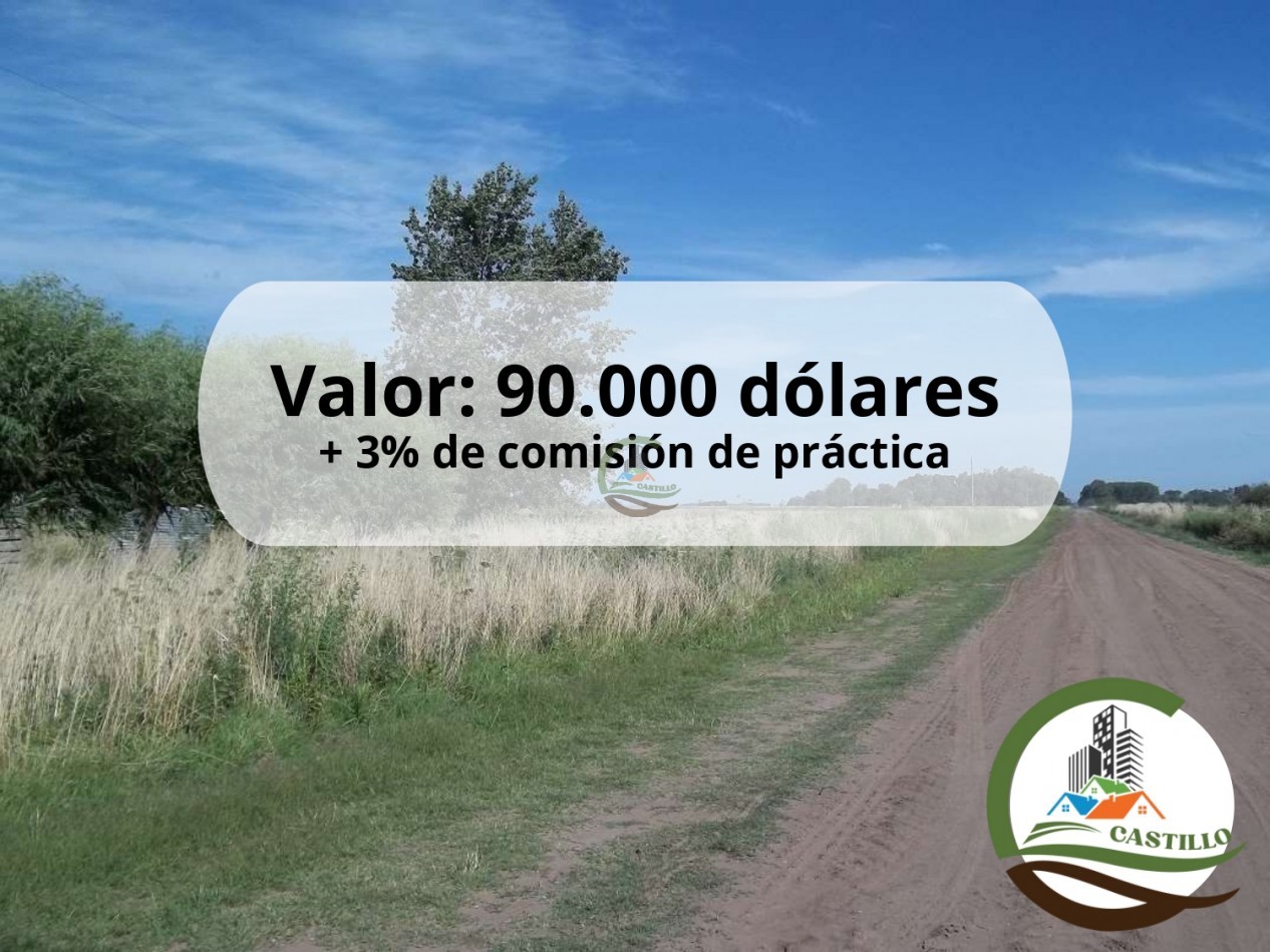 4,5 ha Mixta - Roque Perez