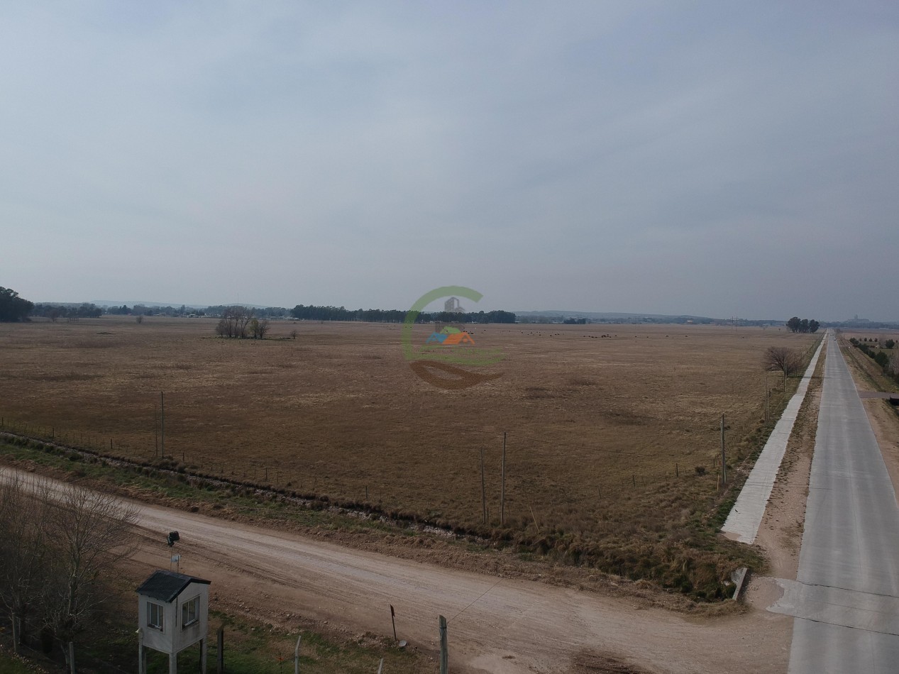 40 ha subdivididas - Olavarria