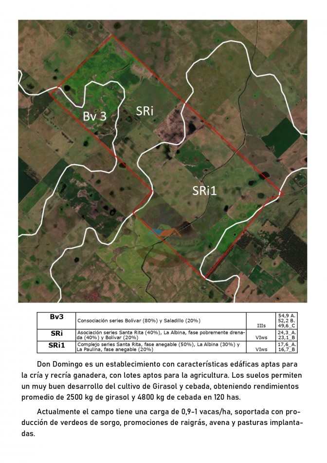 500 ha Mixtas - Bolivar