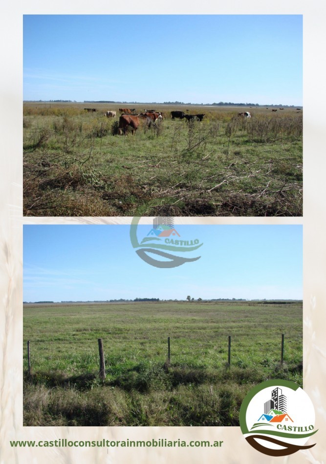110 ha mixtas - bragado