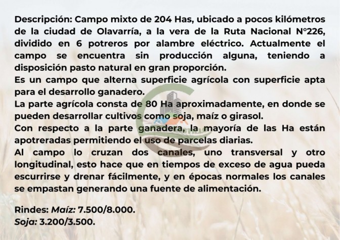 204 ha mixtas - olavarria