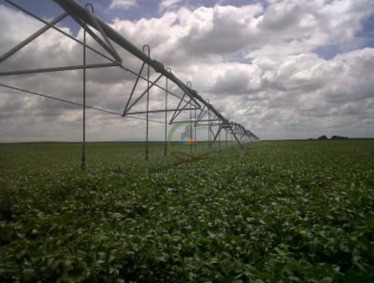 520 Ha Agricolas - Villa Mercedes - San Luis