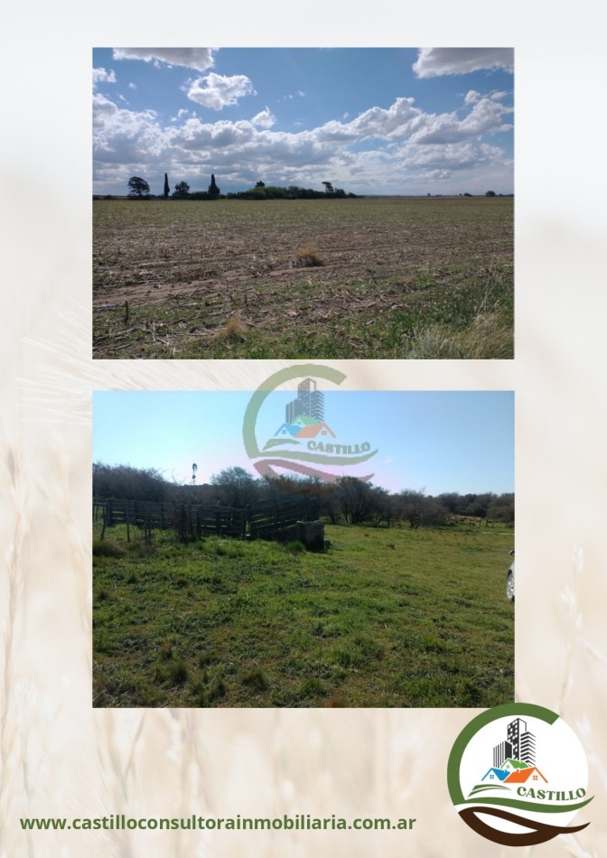 403 ha mixtas - rio cuarto