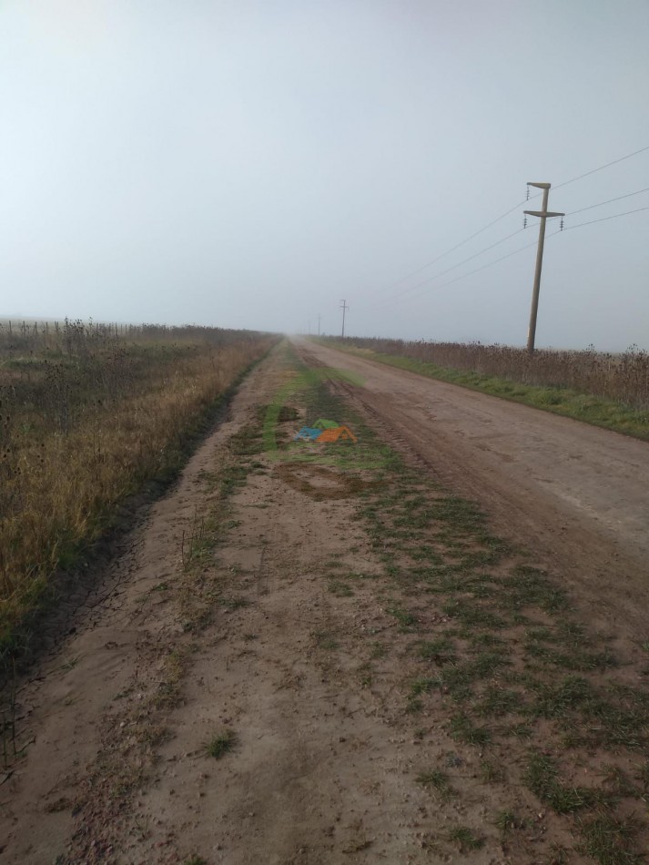 200 ha Mixtas - Gral Alvear