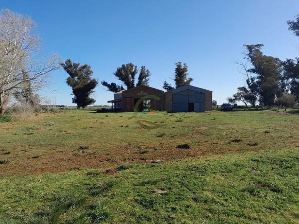 324 Ha Agricolas - San Cayetano