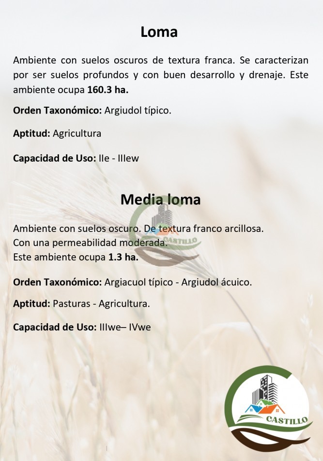 254 ha mixtas - balcarce
