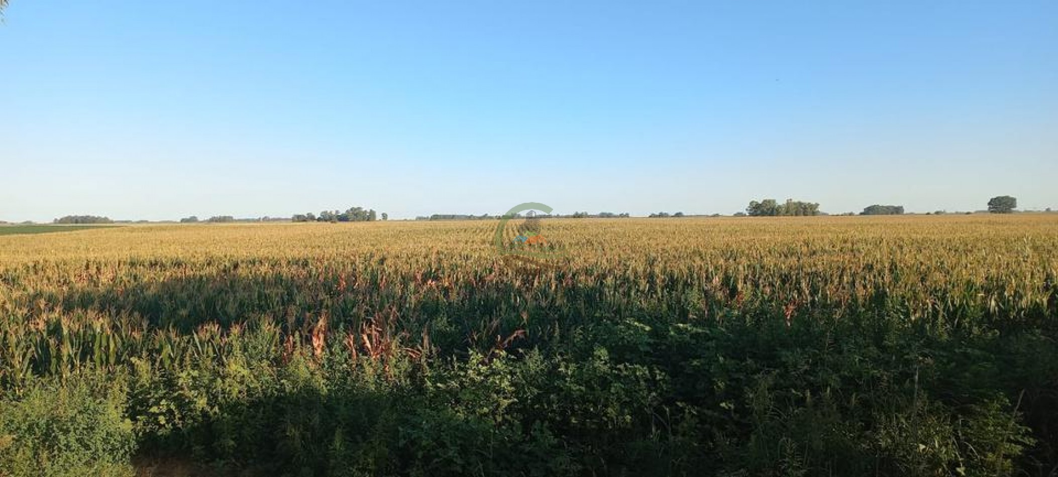 120 Ha Mixto - Urdampilleta - Bolivar