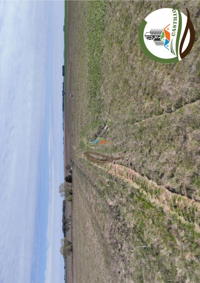 204 ha mixtas - olavarria