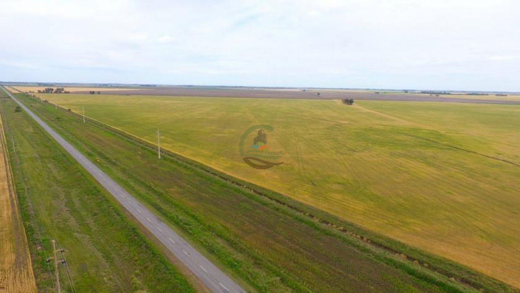 800 Ha Mixto San Francisco - Cordoba