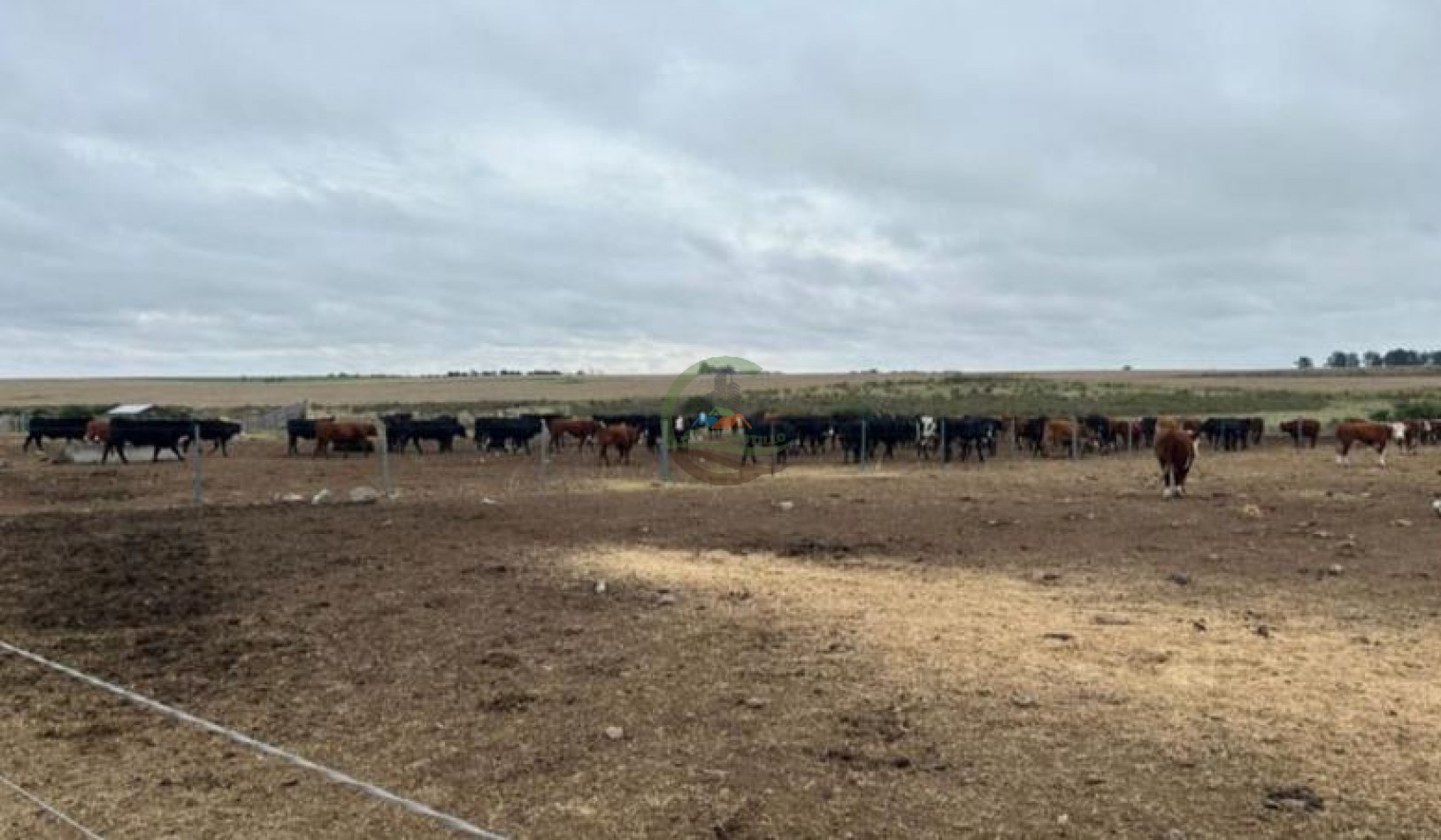 1100 Ha Agricolas - Soriano - Uruguay