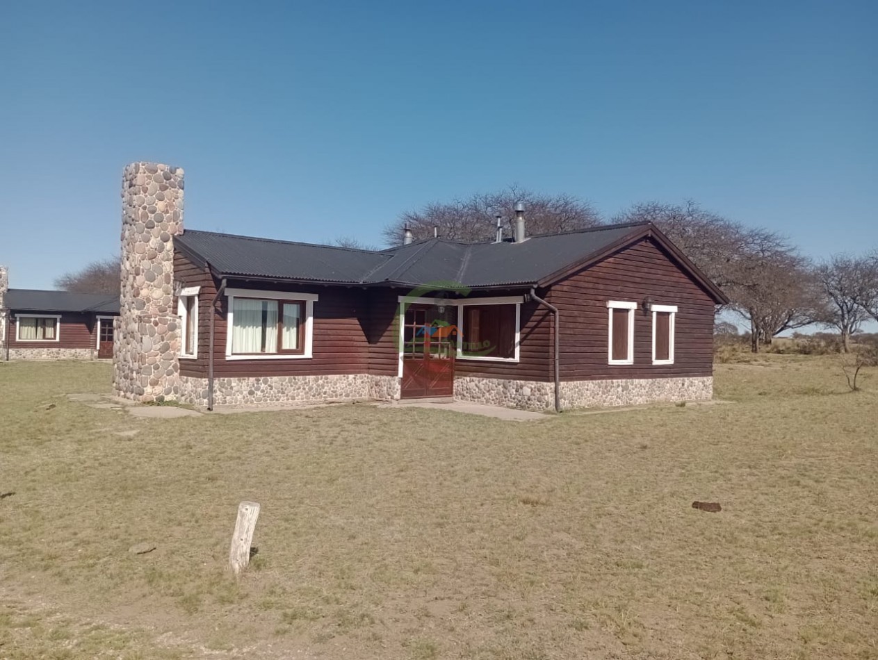 2500 ha Coto de caza - Quehue - La Pampa