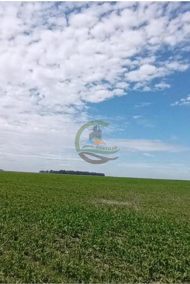 283 Ha Mixto - Necochea