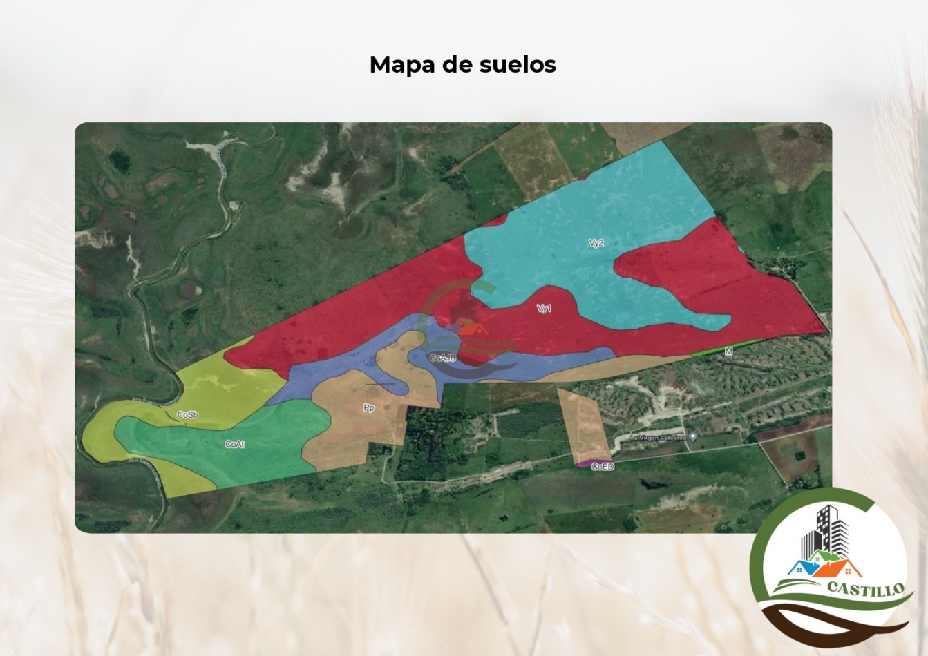 881 ha ganadero . punta indio