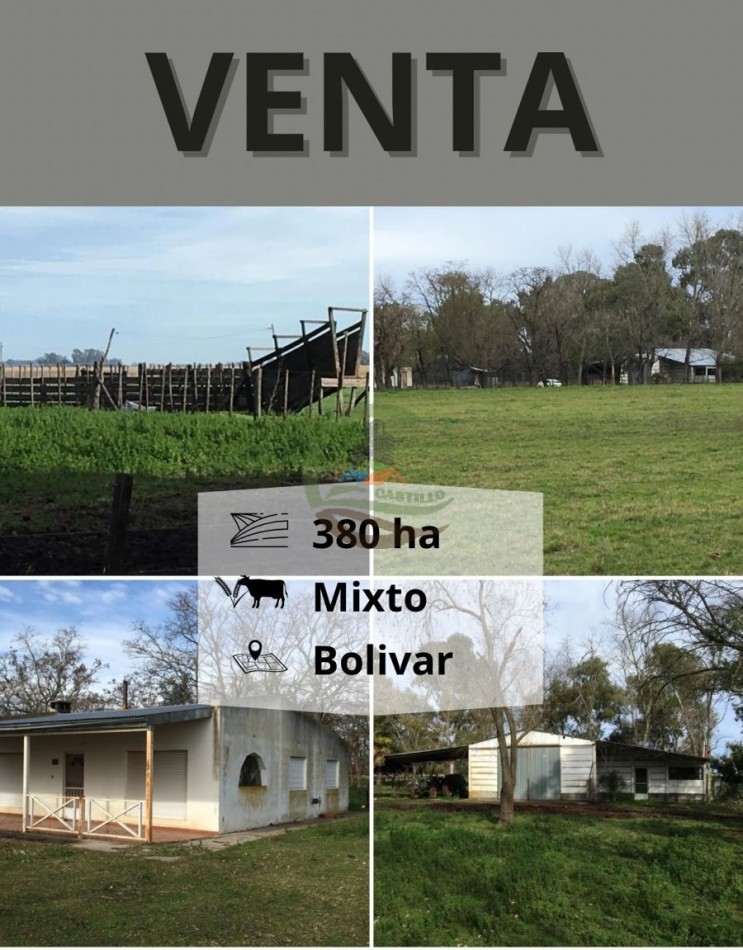 380 ha Mixtas - Bolivar