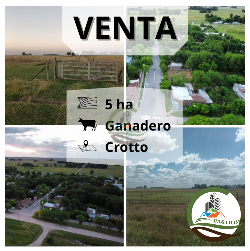 5 ha ganadera - Crotto