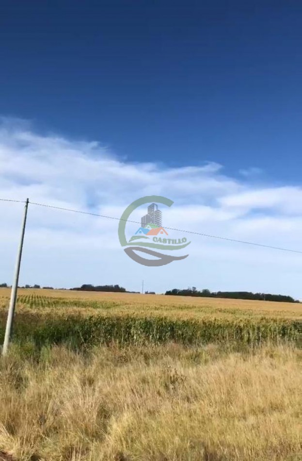 140 Ha Agricolas - Saladillo