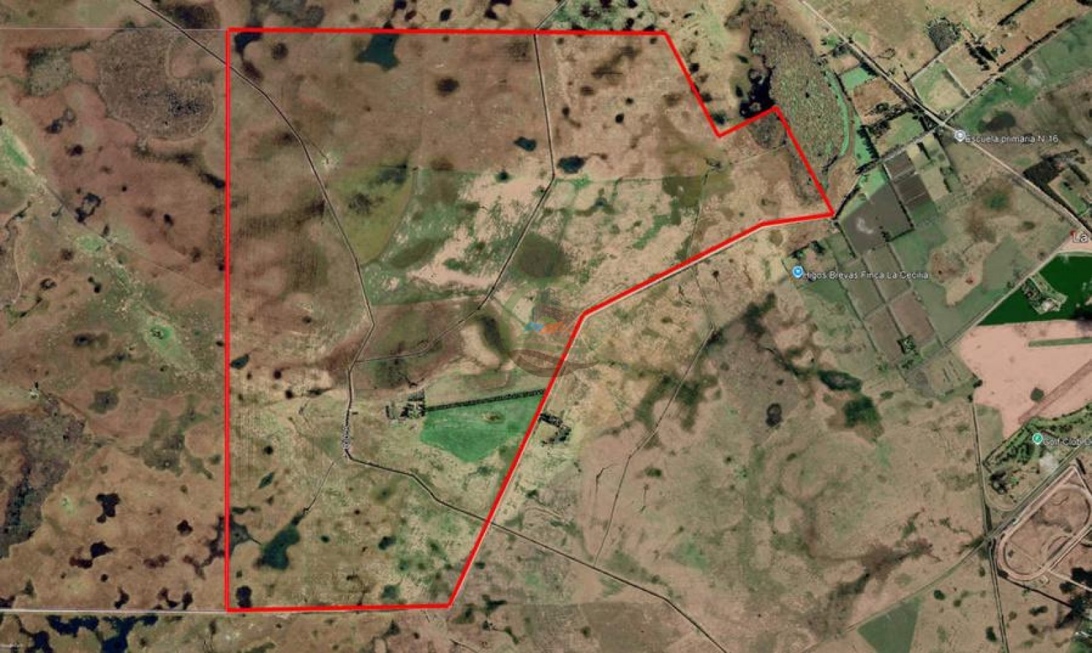 1320 Ha Ganadero - Dolores