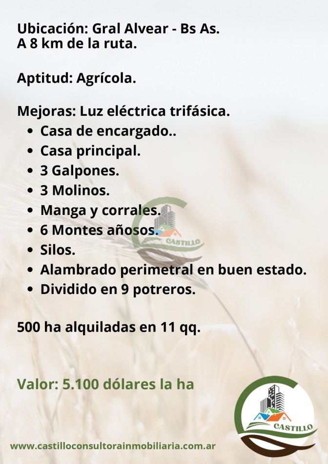 552 ha agricolas - gral alvear