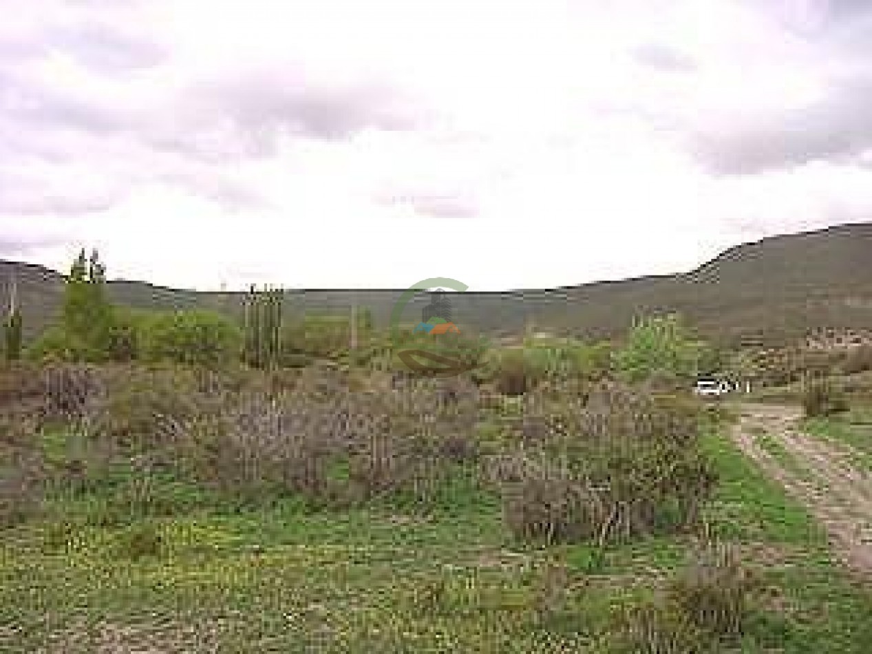 93000 ha Ganaderas - Pasos de los Indios - Chubut