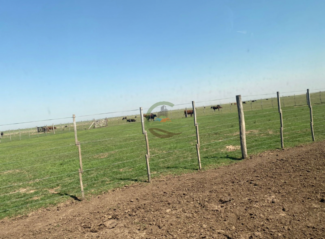 850 ha mixtas - cordoba