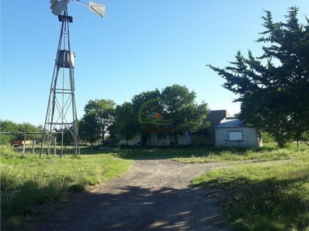4954 Ha Ganadero - La Adela - La Pampa