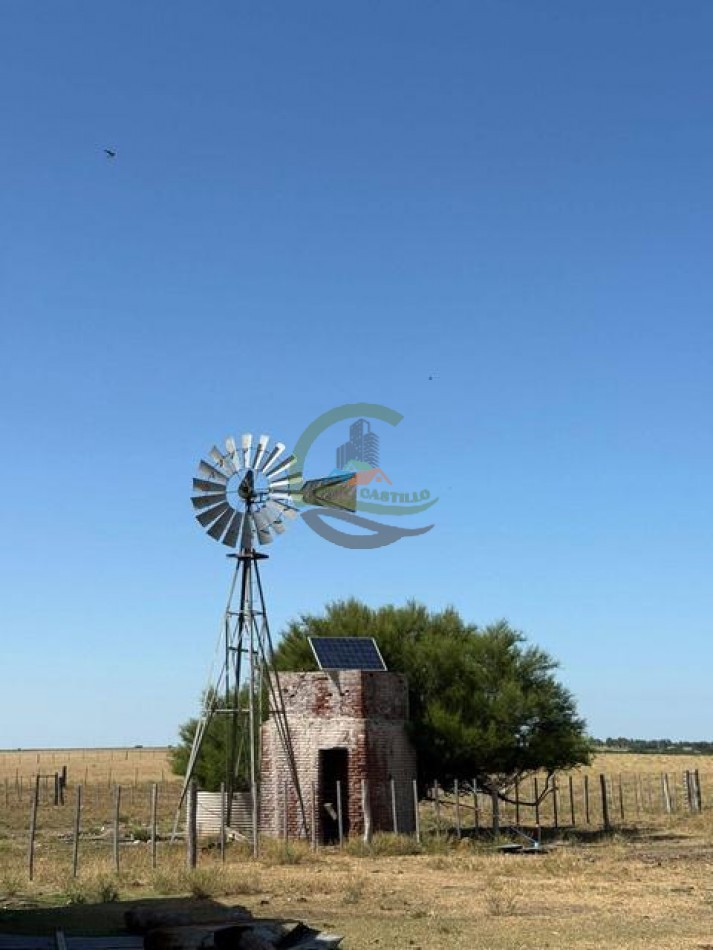 200 Ha Ganadero - Villa Iris - Buenos Aires