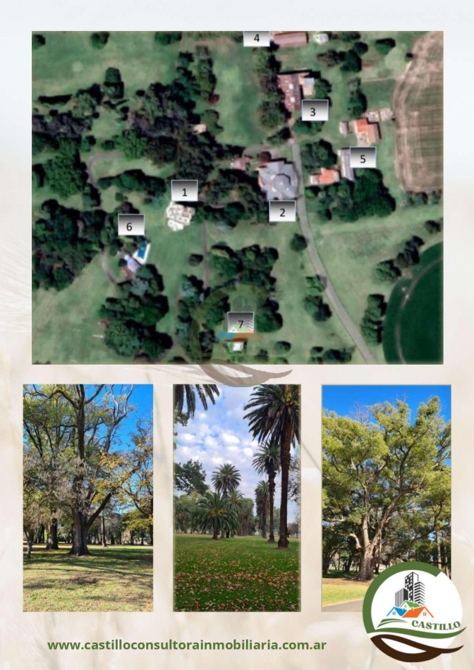1420 Ha . Olivares - Lujan