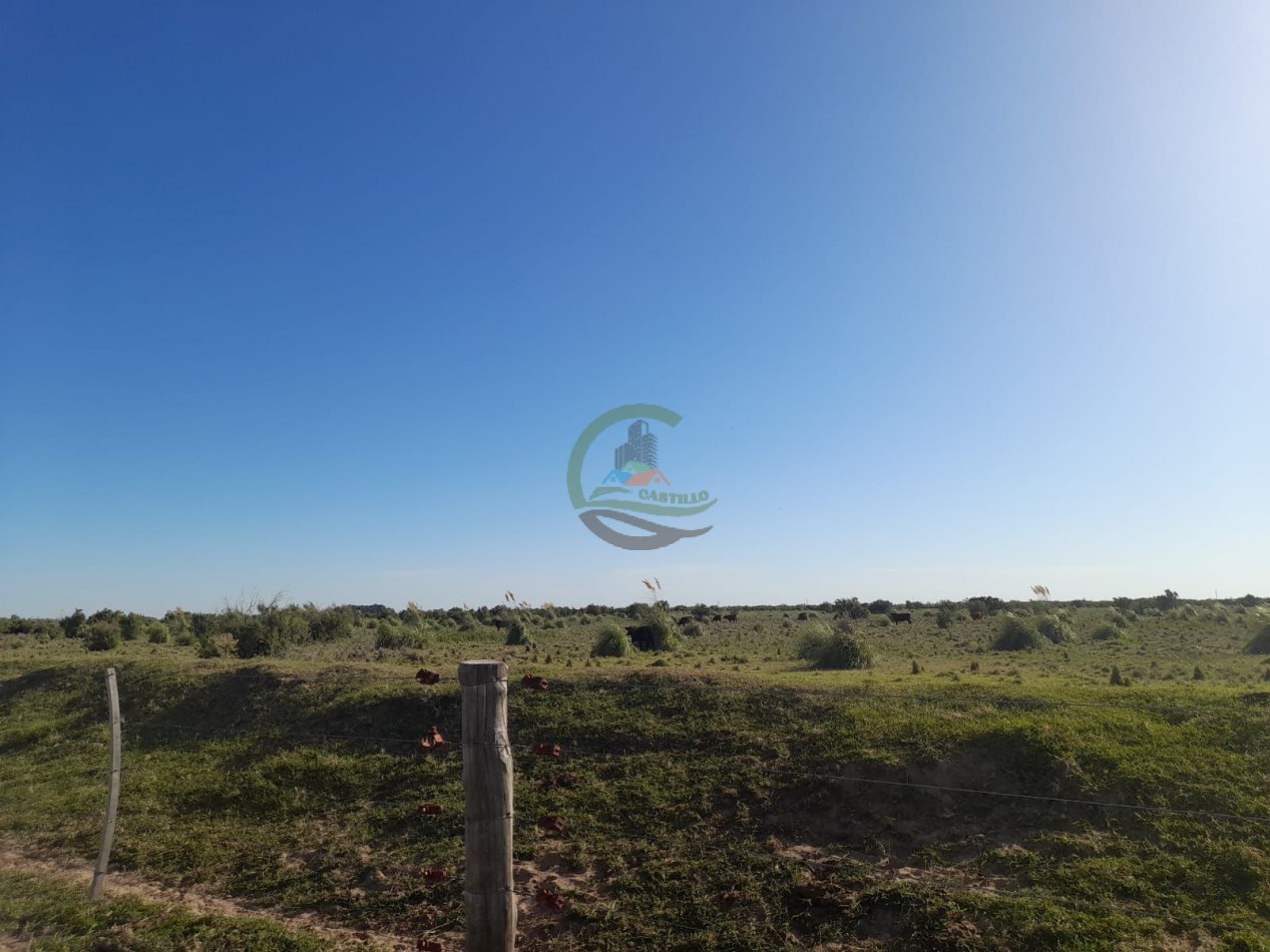 2200 Ha Agricolas - Laboulaye - Cordoba