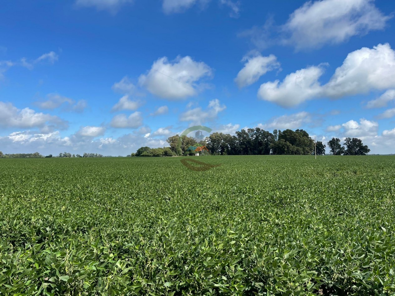 84 ha mixta - Bolivar