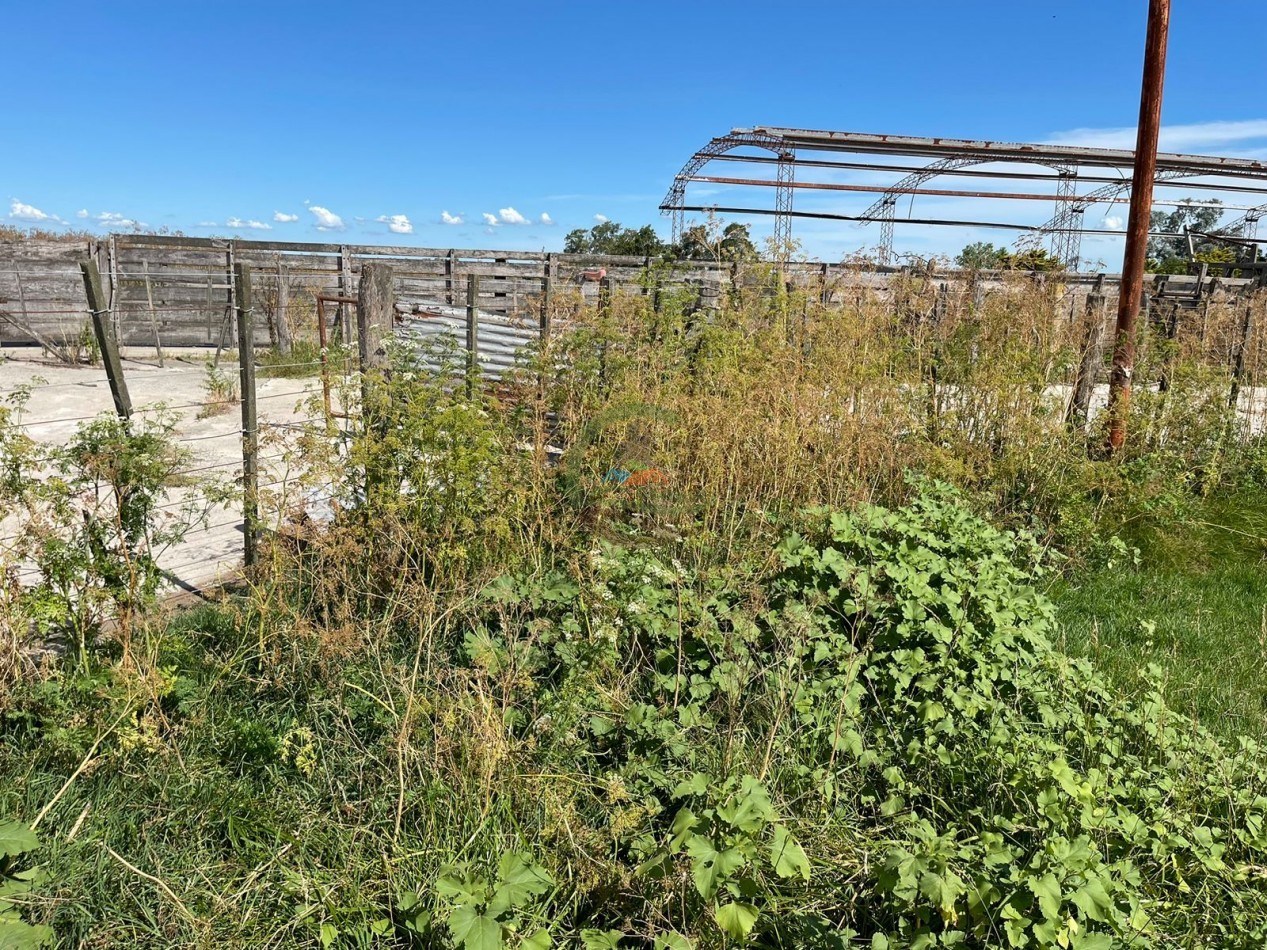 109 ha Feed Lot - Las Flores