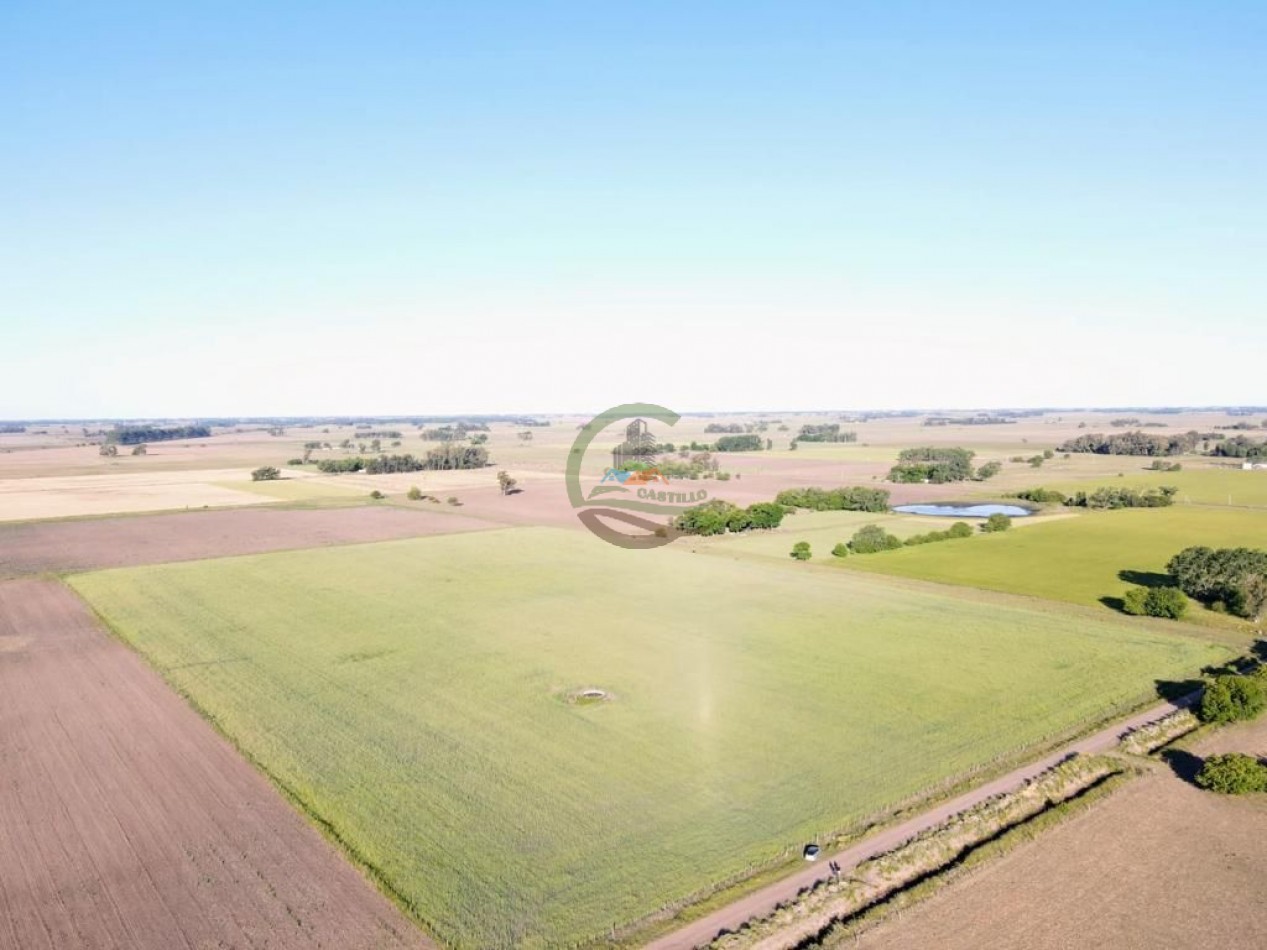 11 ha Agricolas - Saladillo