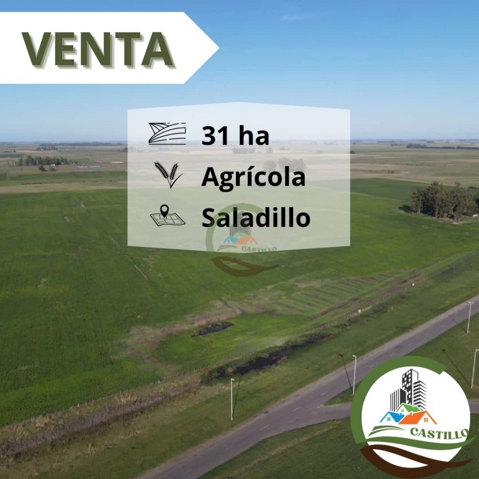 31 ha Agricolas - Saladillo 