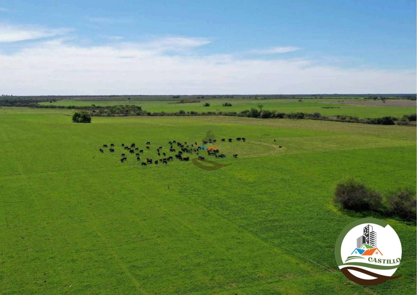 2658 ha Mixto - Entre Rios