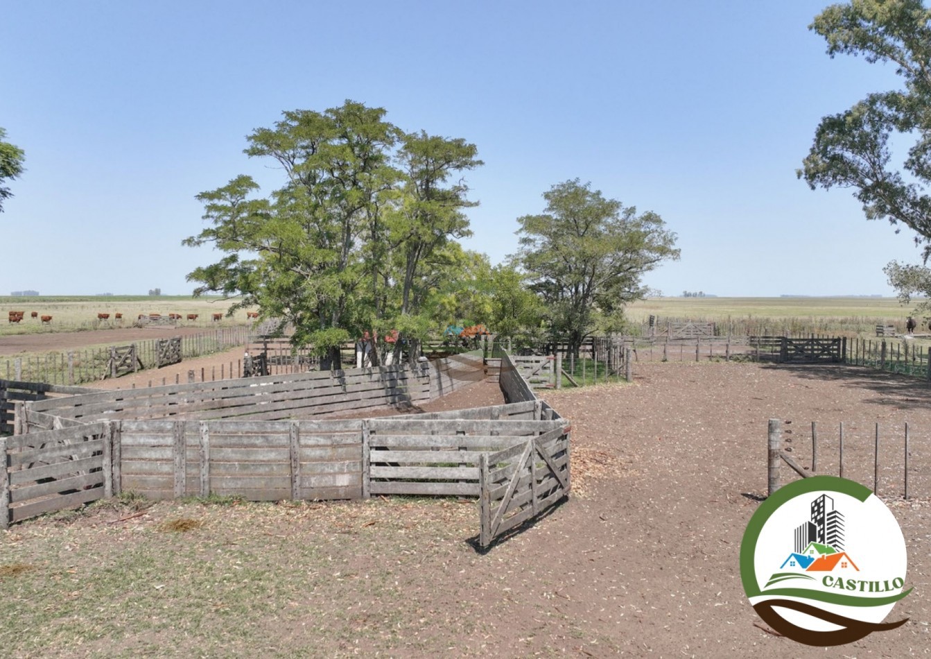3275 ha ganaderas - general alvear