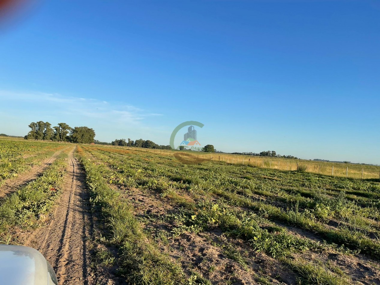 18 ha Mixtos - Pedernales
