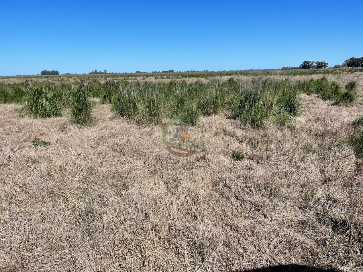 102 ha Agricolas - 25 de Mayo 