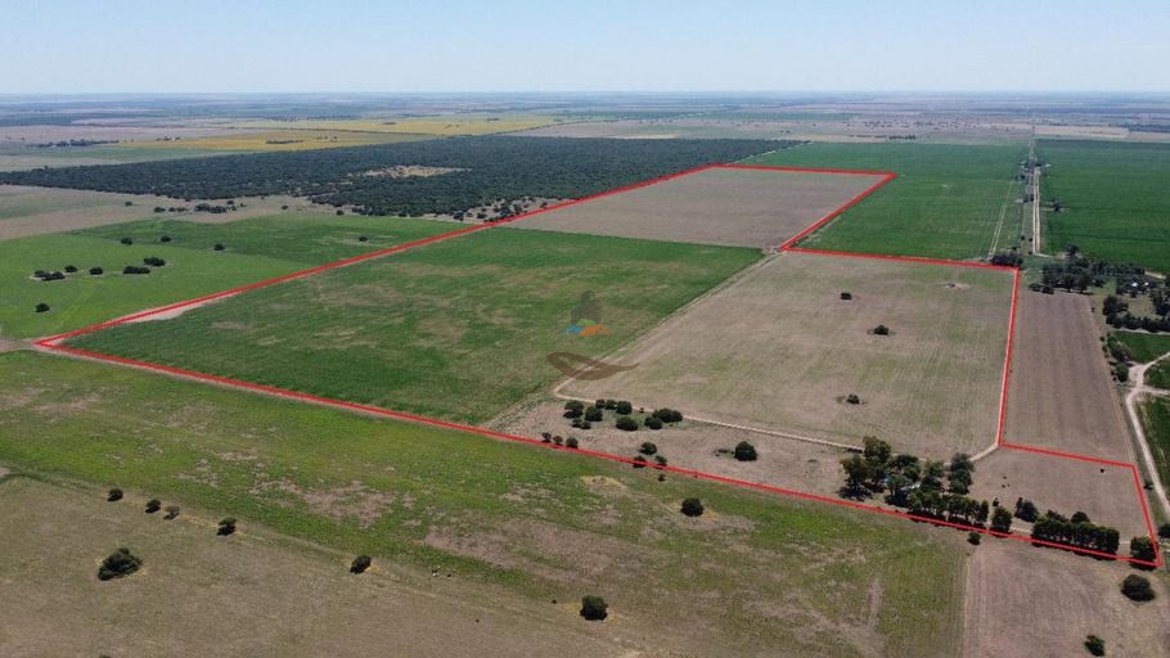 137 Ha Mixto - Santa Rosa - La Pampa