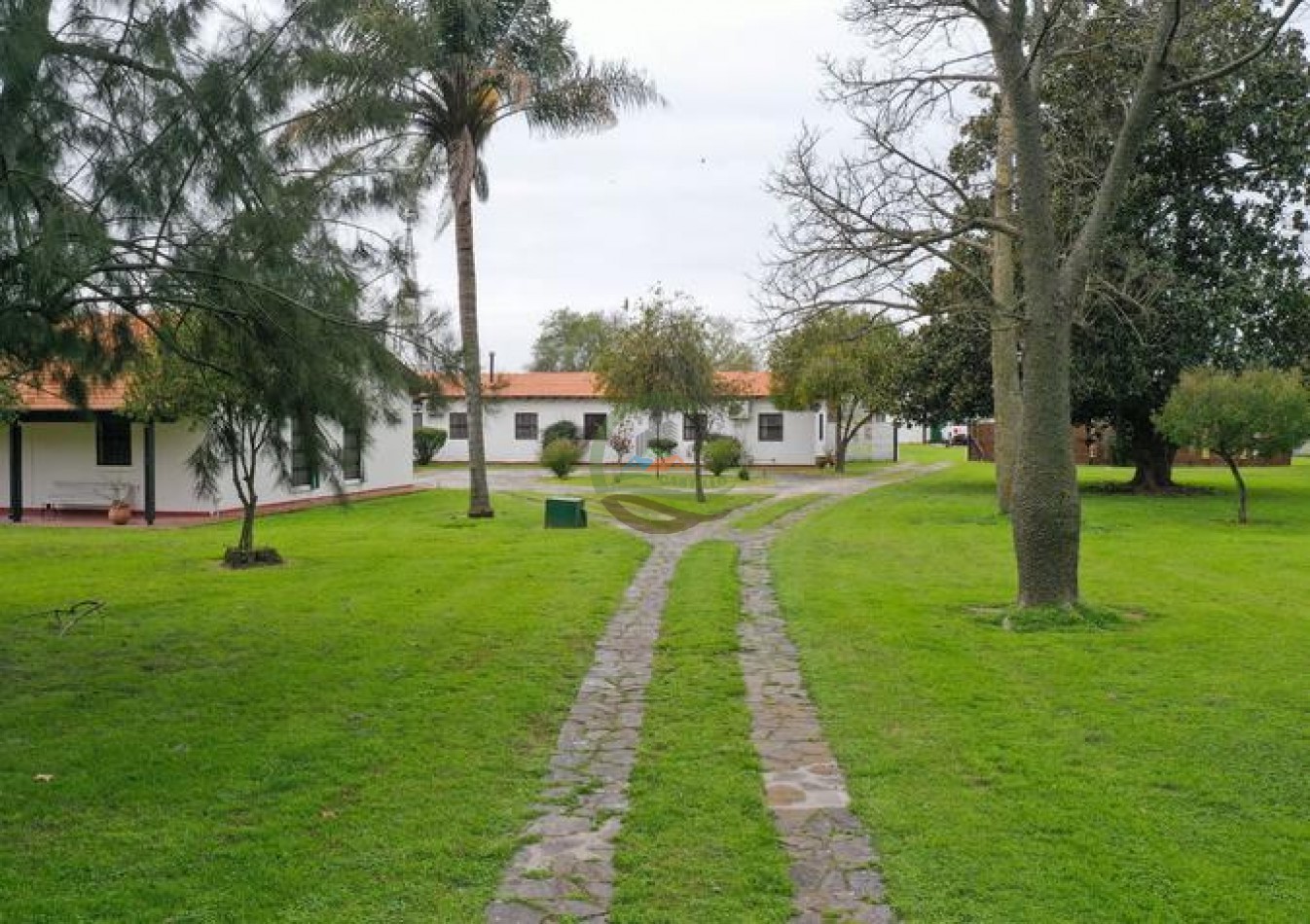 1795 Ha Ganadero - Chascomus