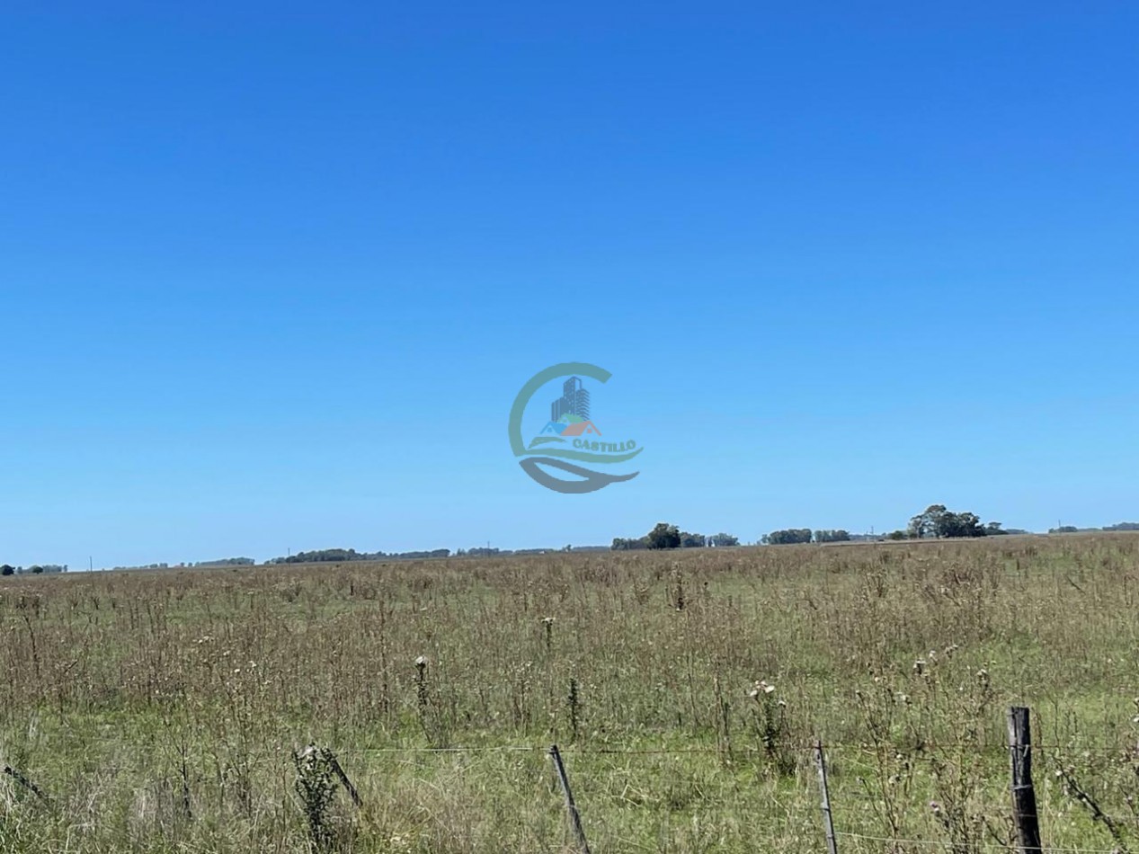 47 ha MIxta - Saladillo
