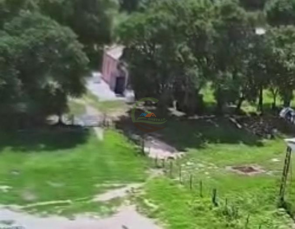 690 Ha Mixto - Pergamino