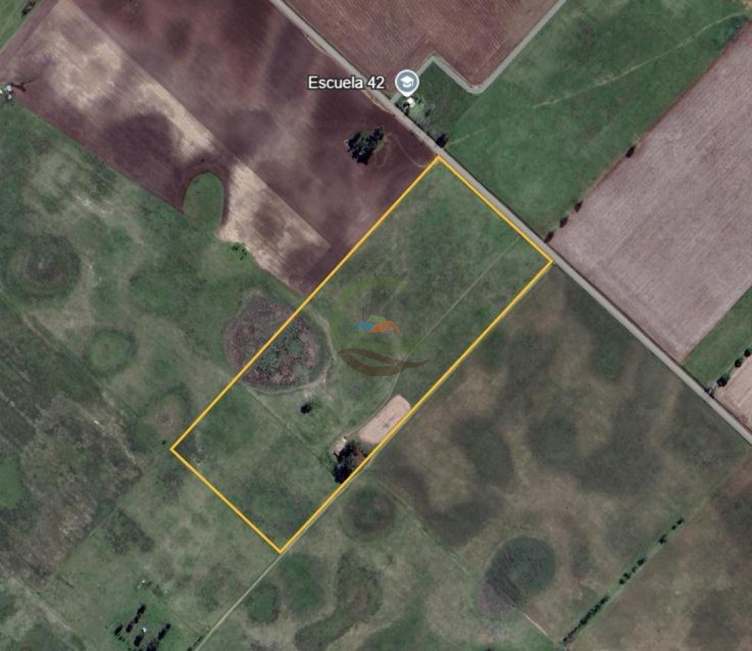 18 Ha Mixto - Las Flores