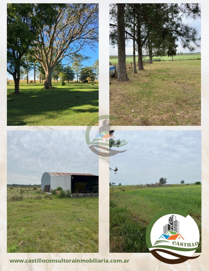 137 ha agricolas - Gualeguaychu