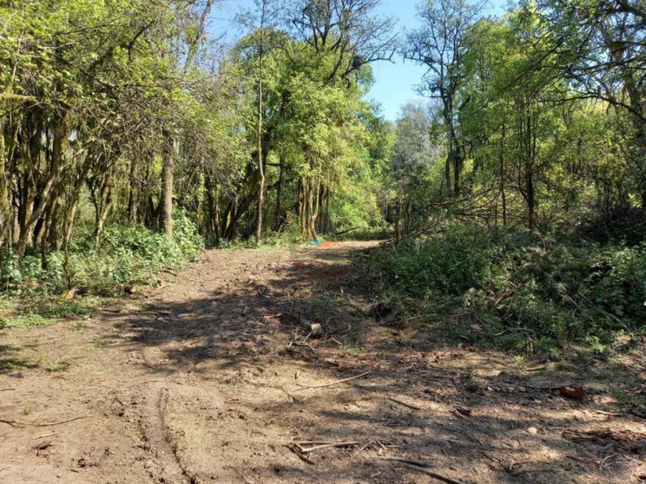 360 Ha Mixto - Santa Lucia - Tucuman