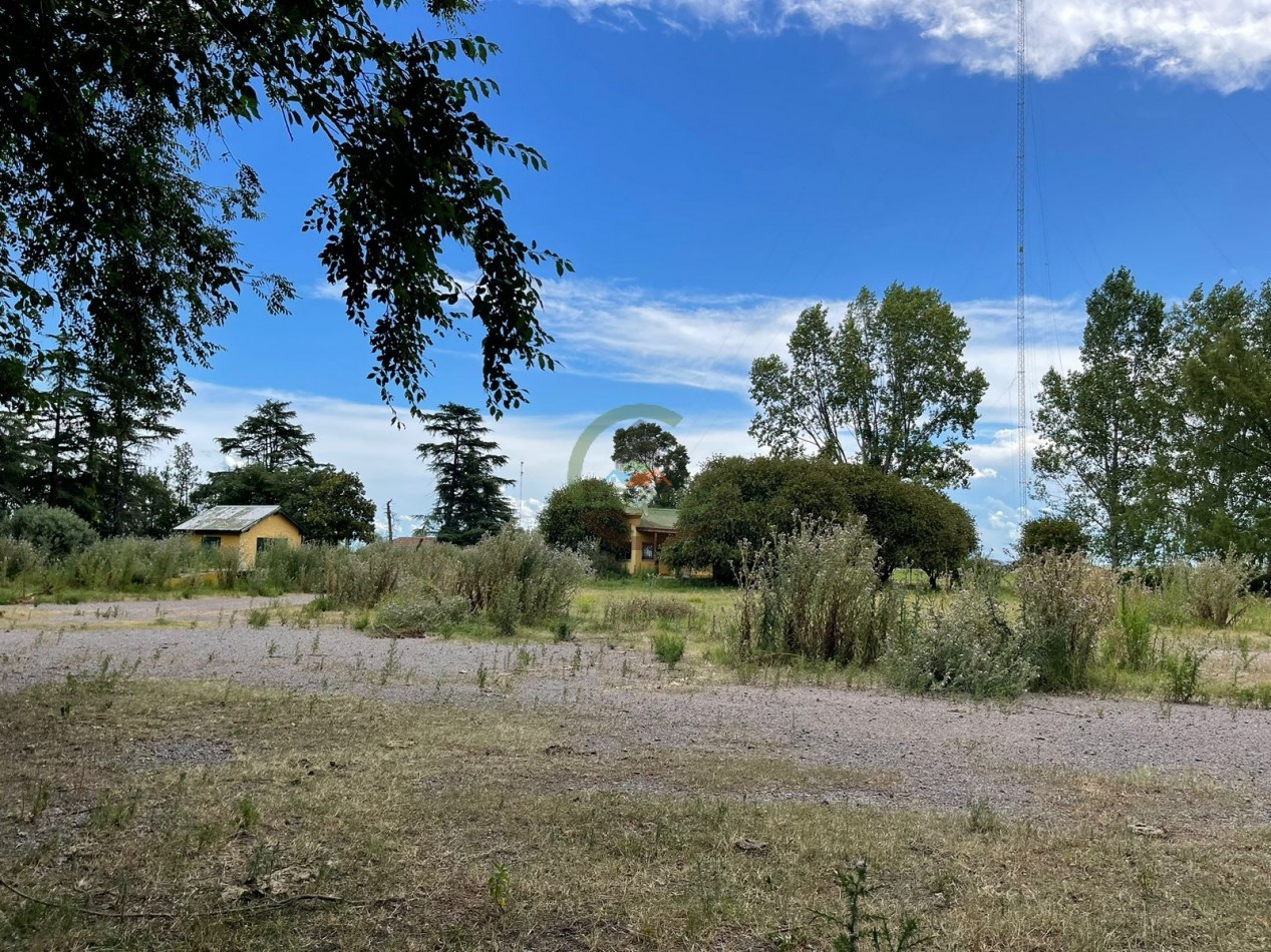 109 ha Feed Lot - Las Flores