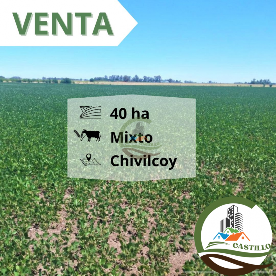 40 ha mixtas - chivilcoy 