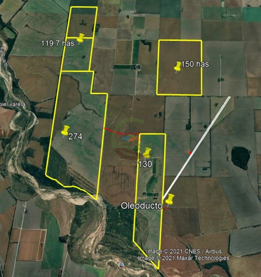 525 ha Agricola - Cordoba