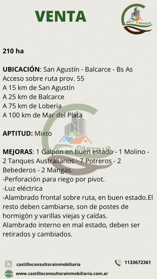 210 ha Mixto - Balcarce